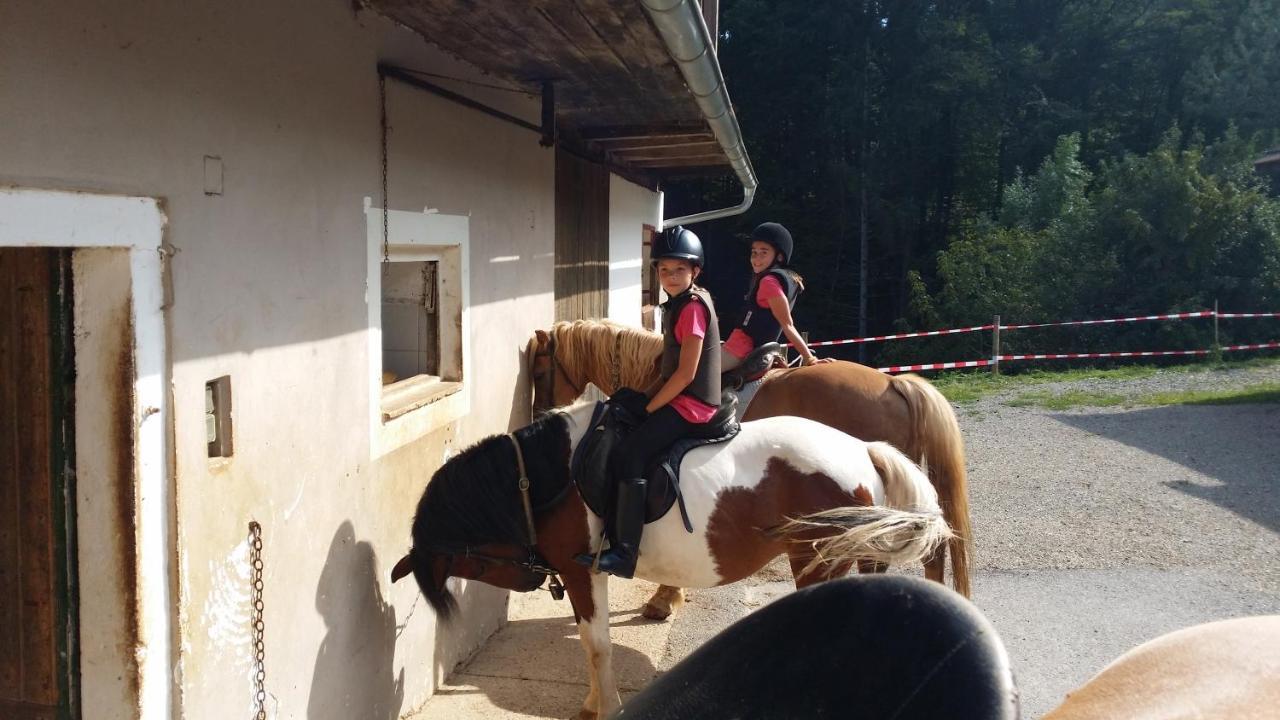 Ferienwohnung Moitz Heimschuh Dış mekan fotoğraf